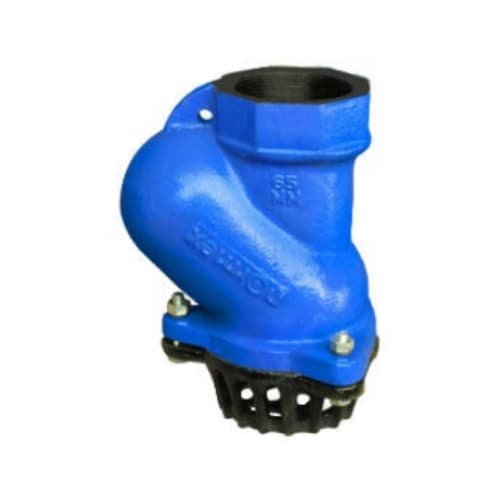 BALLTYPE-FOOT-VALVE