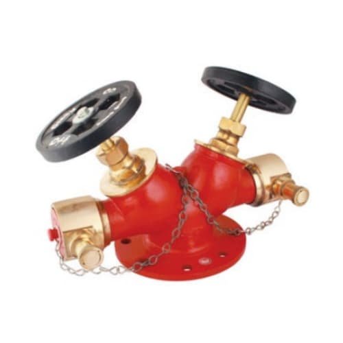 DOUBLE-HEADED-FIRE-HYDRANT